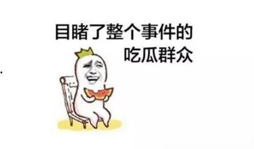 吃瓜不迷路理性吃瓜,吃瓜不迷路，轻松辨析热点事件