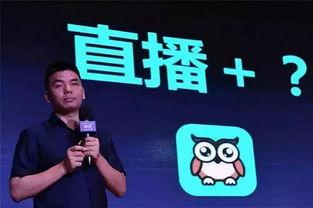 有映客直播的明星有谁,星光熠熠，精彩纷呈