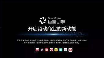 今日头条合肥有几家,揭秘本地资讯平台家族规模