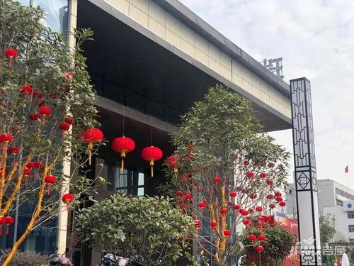 商场广场网红打卡点图片,商场广场网红打卡点风采掠影