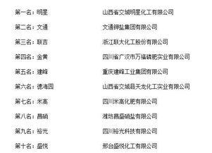 山西明星化工有限公司,引领绿色化工新潮流