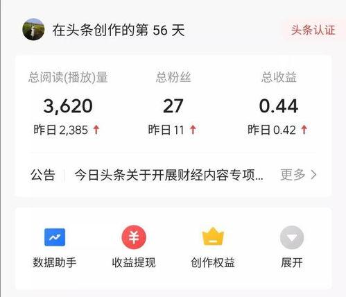 头条大家收益怎么样,揭秘用户收益现状与趋势