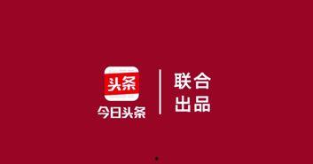 今日头条视频酒泉公交,穿梭城市脉络，见证酒泉发展变迁