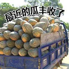 吃瓜诱惑,揭秘娱乐圈背后的秘密与真相