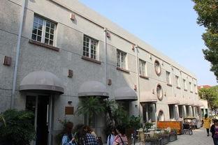 上海新农村网红打卡,网红打卡地，乡村振兴新风尚