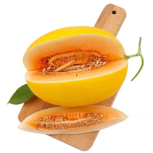 心心很会吃蜜瓜