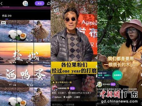 乡下龙龙邻居爆料视频播放,揭秘乡下神秘事件视频曝光