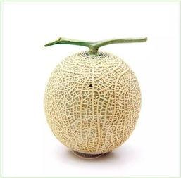 悠闲的吃瓜,品味生活——吃瓜趣事大盘点