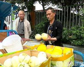 广西吃瓜协会,品味瓜果文化，共筑甜蜜生活